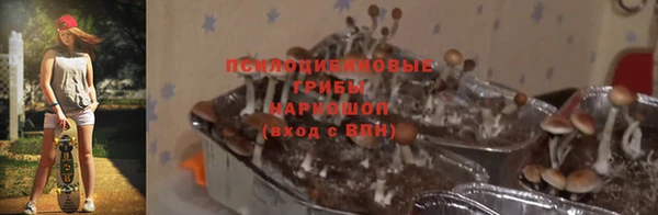 мяу мяу мука Балахна