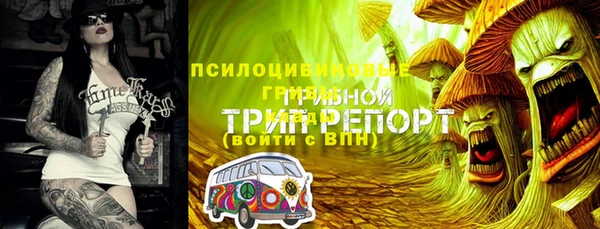 бутират Белокуриха