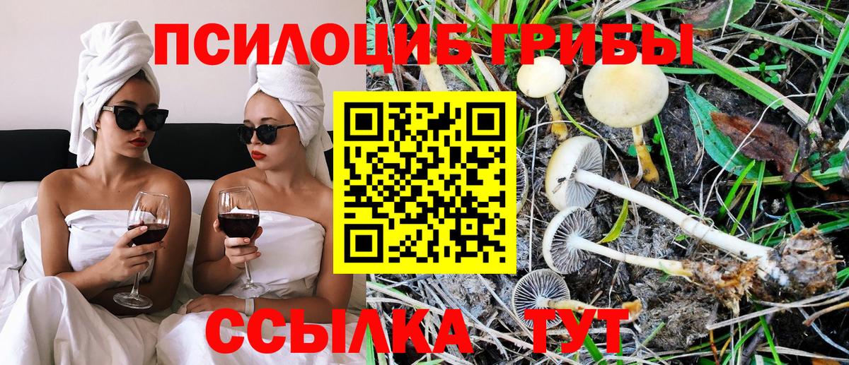 Псилоцибиновые грибы мухоморы Гулькевичи
