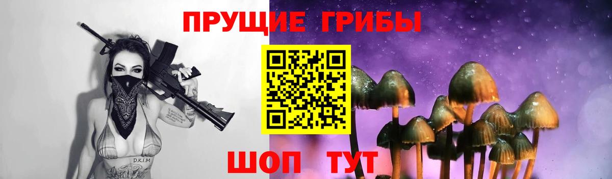 Псилоцибиновые грибы Psilocybe  Псилоцибиновые грибы мицелий  Вход с VPN  Гулькевичи 